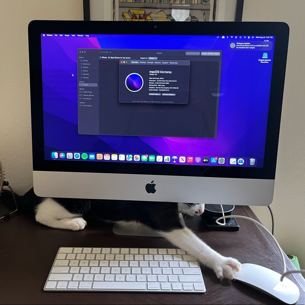 2017 iMac- 21” screen with keyboard and mouse. Excellent condition- rarely used